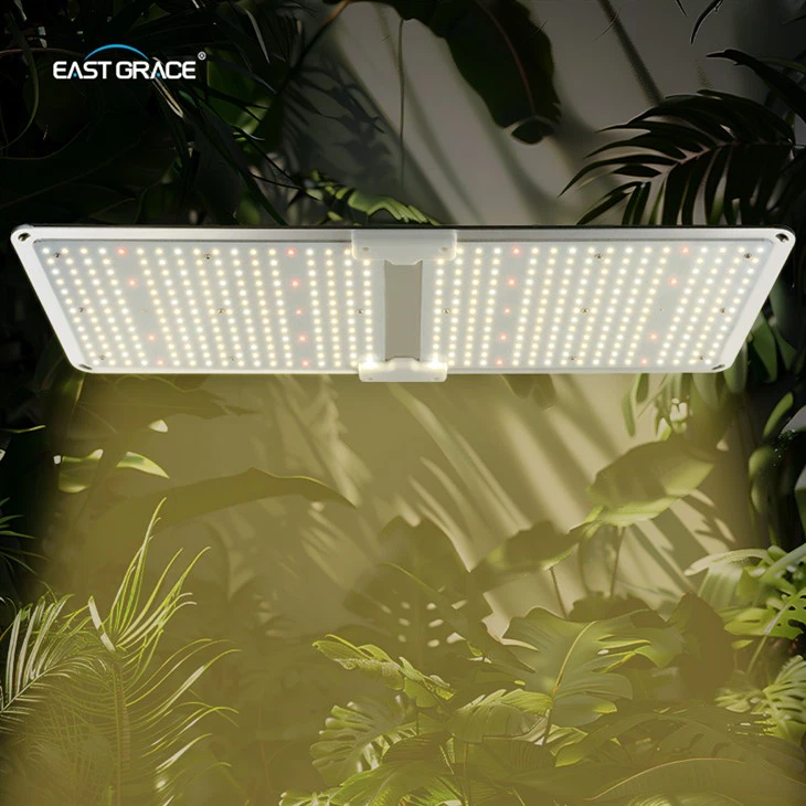 952LEDs LED Grow Light Board