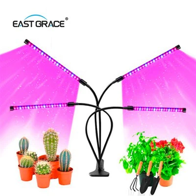 مقطع LED ينمو الضوء