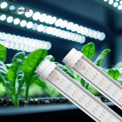 في الهواء الطلق T12 متكامل LED الأضواء أنبوب IP65